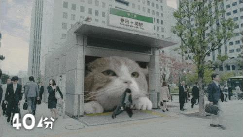 猫侍 剧场版