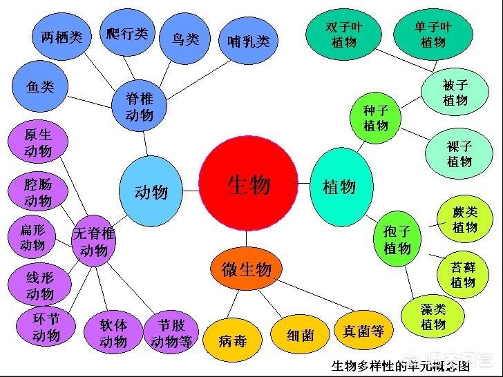 1877澳门123精准资料大全免费