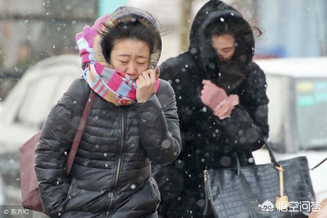 电视剧大风歌免费观看最新版