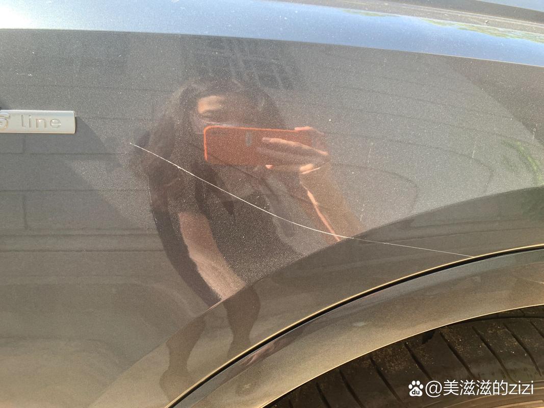 故意划车被全程记录