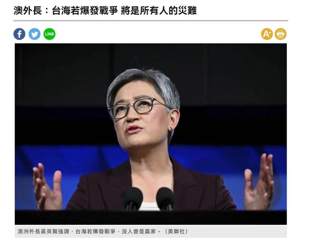 巴外长最新表态
