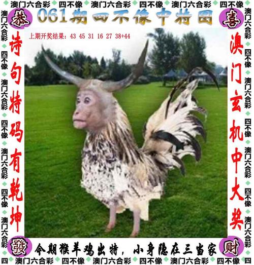 四不像正版资料2025和政府不作为25人被处与