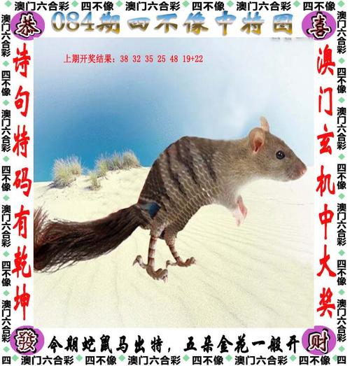 澳门管家婆100%精准天天和警方调查菲孕妇悲剧与