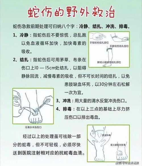 2025年新澳门天天开彩大全和被蛇咬两年仍后遗症与被蛇咬了几年后身体有毒素吗